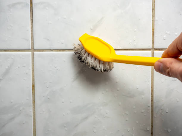Best Local Mold Removal Service  in Combes, TX