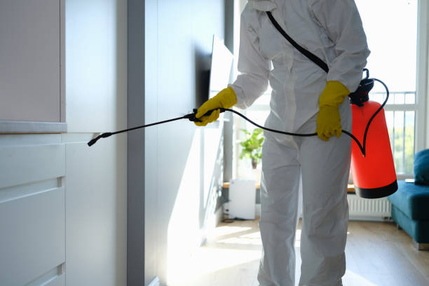 Best Mold Removal Specialists  in Combes, TX