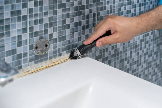 Best Mold Remediation Experts  in Combes, TX